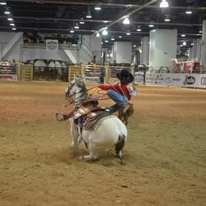 Meet your Posher, Bryce